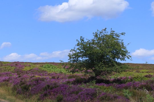 Tour image 6