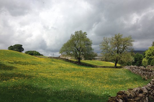 Tour image 8