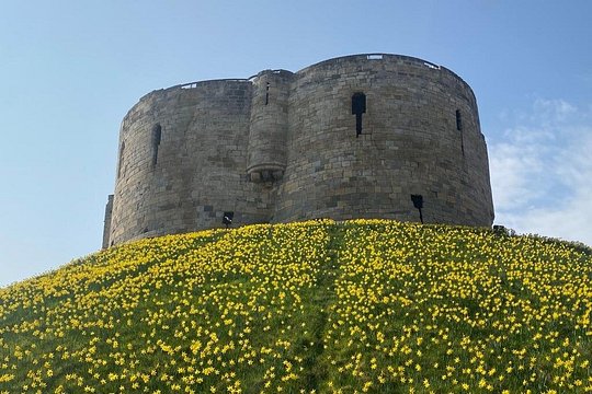 Tour image 6